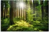 Leinwandbild  Waldbäume Natur 120x80 Feeby Grün bild für Produktbild-Vorschau 3