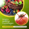 2x 5L Oma`s Tafelessig 10% Säure / Geschmacks Sieger für Produktbild-Vorschau 8