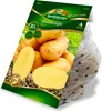 Pflanzkartoffel Salome (10 Stück) (gelb, festkochend, sehr Produktbild-Vorschau 2