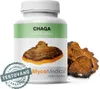 MycoMedica Chaga 90 tobolek MYCOMEDICA Náhled obrázku produktu 1