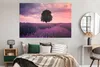 MuchoWow® Poster Lavendel - Lila Blumen - Baum - Natur Produktbild-Vorschau 4