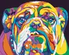 Zuty - Malen nach Zahlen - BUNTE BULLDOGGE, 40x50 cm, mit Produktbild-Vorschau 1