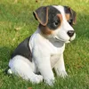 Figurine décorative de jardin Jack Russel Voir les images du produit 1