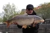 Mivardi Rapid Boilies Easy Catch - English Strawberry 3300 Produktbild-Vorschau 7