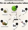 Prostata Kapseln - Prosta Plus Komplex - Effektive Formel Produktbild-Vorschau 4