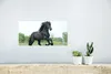 MuchoWow® Poster Pferd - Schwarz - Natur 40x20 cm - Poster Produktbild-Vorschau 5