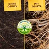 Solabiol Tomatendünger - 1,5 kg Produktbild-Vorschau 5