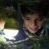 Terra Kids - Zeltlampe (grau/grün) Produktbild-Vorschau 5
