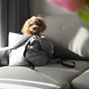 Dogeste Hundetasche, Transportbox, 3in1 Hunde Katzen Produktbild-Vorschau 6