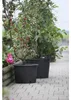 Pflanzcontainer mit Griff geli Kunststoff Ø 65 cm H 50 cm Produktbild-Vorschau 2