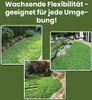 LERAVA® Klee samen [mähfrei] 125m² - Mikroklee Samen für Produktbild-Vorschau 2
