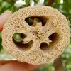 Luffa Schwamm 3Pcs,Natürliche,für Körperpflege Küche Bad Produktbild-Vorschau 3