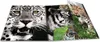 HERMA Sammelmappe A4 Leopard Polypropylen Voir les images du produit 8