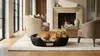 Hundebett 100x75 cm personalisiert wasserdicht schwarz Produktbild-Vorschau 14