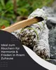 Sada kadidiel Palo Santo Sage White Sage & Palo Santo Náhľad obrázku produktu 2
