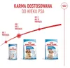 ROYAL CANIN Medium Starter Mother&Babydog 4kg Karma Sucha Podgląd zdjęcia produktu 10