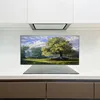 Coloray Spritzschutz aus Glas 120x60  Wandkunst Produktbild-Vorschau 3