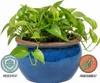 Bac à plantes Pot de fleurs « Bavaria » 33 cm bleu royal Voir les images du produit 10