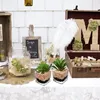 2er Set Künstliche Sukkulenten Glas Topf Deko Wohnzimmer Produktbild-Vorschau 5