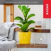 A yellow plant pot with a green plant on a wooden shelf, with a blanket and a cup in the background. Podgląd zdjęcia produktu