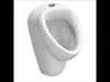 Vitra Norm Urinal mit Hygiene Glasur Abgang universal, Produktbild-Vorschau 1