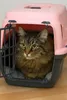 DOCHTMANN Cassa per cani e gatti 45x31x31 rosa Anteprima dell’immagine prodotto 4
