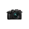 Panasonic Lumix GH5 II Kit mit Leica ES 2,8-4,0/12-60 OIS Produktbild-Vorschau 6