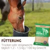 Supravit Grascobs Pferd 20kg | natürliche Graspellets als Produktbild-Vorschau 6