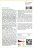 SAFLAX - Africká vistárie - Bolusanthus africanus - 15 Náhled obrázku produktu 3