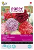 Buzzy Poppy Flowers Pavot Paeoniflorum Mélangé. Graines - Voir les images du produit 4