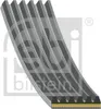 FEBI BILSTEIN Keilrippenriemen 926mm für TOYOTA Yaris Produktbild-Vorschau 2
