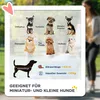 PawHut hondenbuggy met reflectoren, inklapbare kattenbuggy Productafbeelding-voorbeeld 4