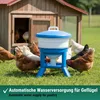 Agrarzone Wiadro do pojenia drobiu 30 l Podgląd zdjęcia produktu 2