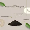 Culvita | Mediterrane Pflanzenerde | Für Mediterrane Produktbild-Vorschau 4