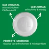 A white VIVIL lozenge is shown in the center of a green background, with text and arrows pointing to it, highlighting its features. Produktbild-Vorschau