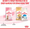 Royal Canin Kitten Sterilised 400gr Produktbild-Vorschau 7