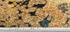 Tapiso koberec TOSCANA Modern Green Grey Gold Obývacia izba Náhľad obrázku produktu 6