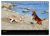 Whippets in Aktion (Tischkalender 2027 DIN A5 quer), Produktbild-Vorschau 15