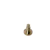 A single brass screw is shown against a white background. Produktbild-Vorschau