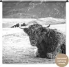MuchoWow® Wandteppich Wandbehang Schottisches Hochlandrind Produktbild-Vorschau 1