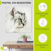 ARTland Poster Katzenporträt weiß Größe: 40x40 cm Produktbild-Vorschau 2