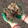 3 Paar solide Arbeitshandschuhe Gartenhandschuhe mit Produktbild-Vorschau 8