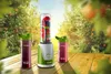 Blender kielichowy Concept 1.5 l do smoothie Anteprima dell’immagine prodotto 2