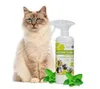 ISOKOR | Anti Urine Cleaner | 500 ml | Natürlicher veganer Produktbild-Vorschau 9