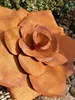 Edelrost Rose Produktbild-Vorschau 3