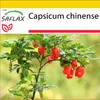 SAFLAX Kultivačný set - Chilli - Habanero Antilles Red - Náhľad obrázku produktu 6
