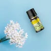 Duftöl 10ml Grosse Auswahl Tolle Düfte - Auswahl: Jasmin Produktbild-Vorschau 5