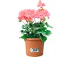 Elho Blumentopf + Halter Green Basics Ø 20 x 18,5 cm mild Produktbild-Vorschau 4