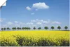 ARTland Poster Rapsfeld und Bäume Größe: 60x40 cm Produktbild-Vorschau 1