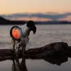 Non-stop dogwear Hundeweste Reflective Vest, Größe: M Produktbild-Vorschau 6